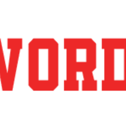 Nullledwordpress 1