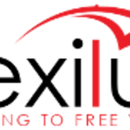 Logo website